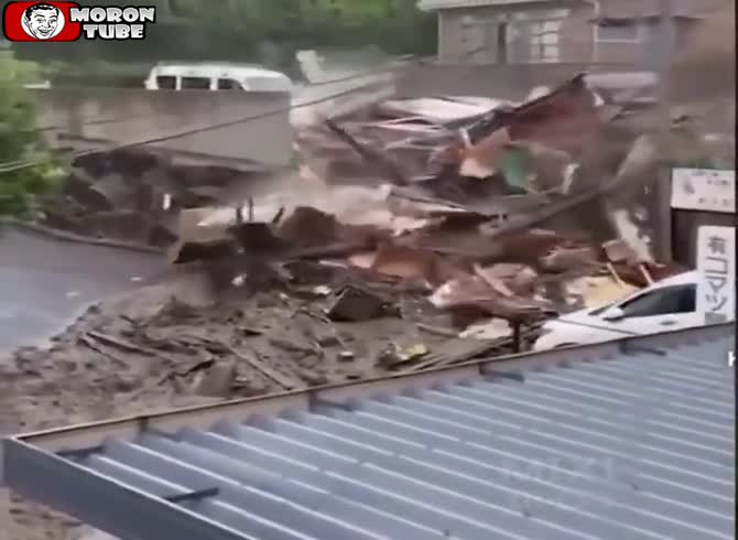 Video :This driver had every right to run!